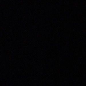 Meet your Posher, Zion